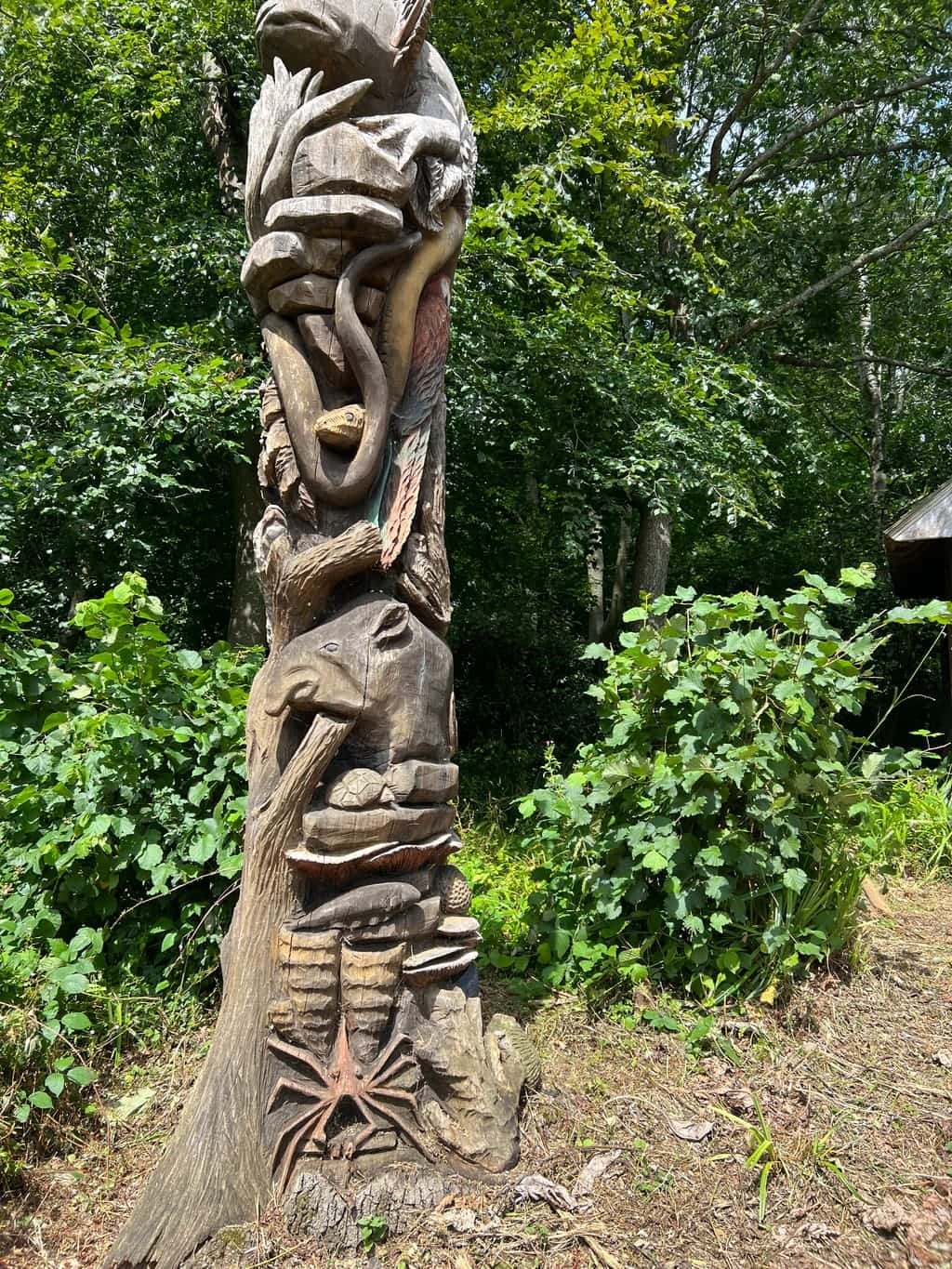 An artwork set among trees and undergrowth, made in place.