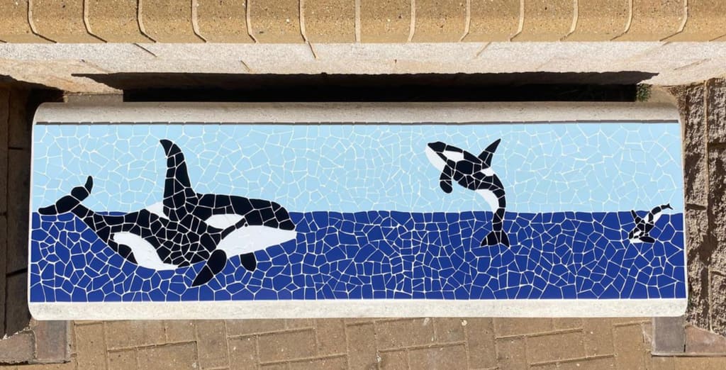 The Orca bench: black and white orca mosaic across the backrest, the Strait behind it.